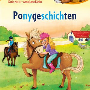 Buch Ponygeschichten