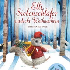 Buch Elli Siebenschläfer entdeckt Weihnachten Eine Adventsgeschichte in 24 Kapiteln