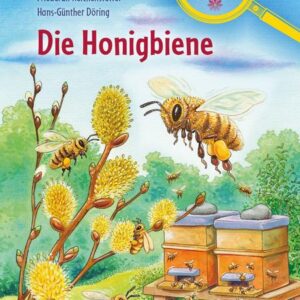 Buch Sachwissen für Erstleser Band 9 Die Honigbiene