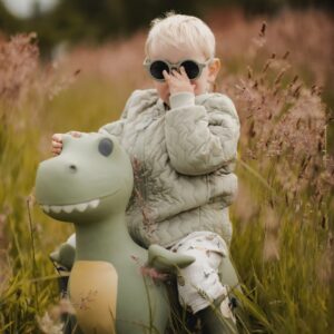Hüpftier Dino (Find that hippo)