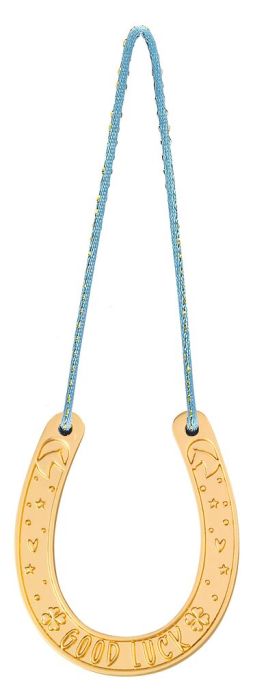 moses Pferde Glücksbringer Hufeisen blau